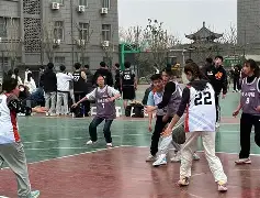 Yabo Sports-四川男篮战绩